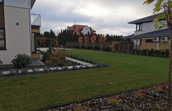 IMG_20221026_100053_