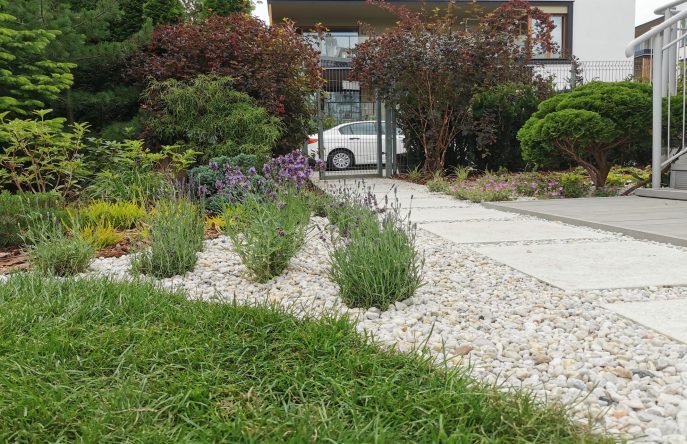 IMG_20230623_170818_