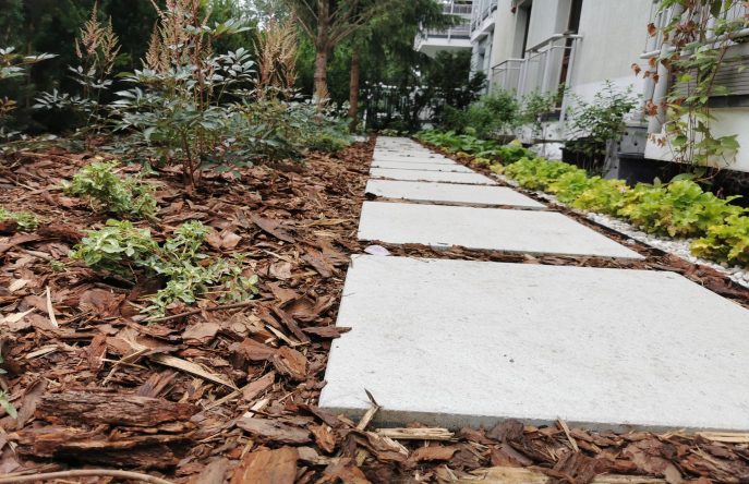 IMG_20230623_170834_