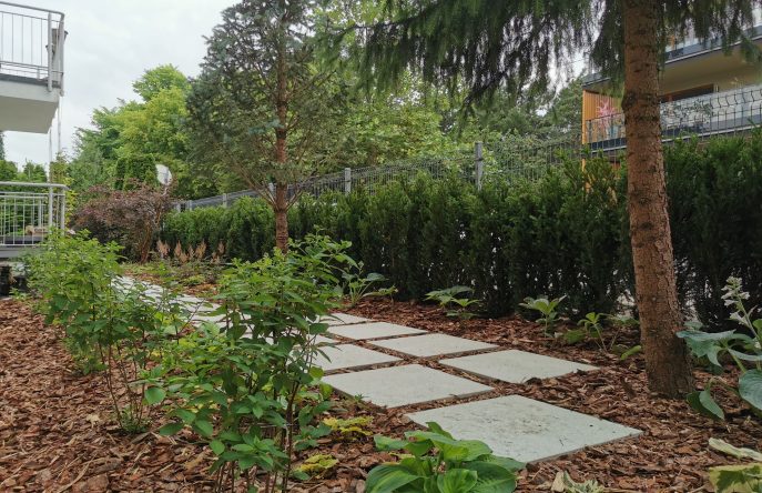 IMG_20230623_170918_