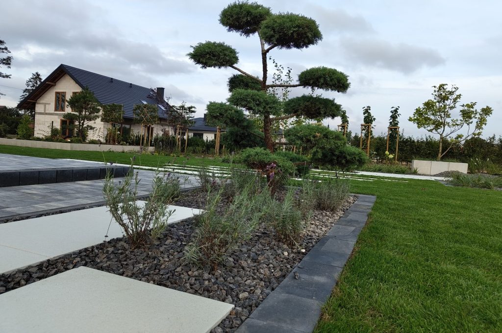 IMG_20230830_181233776