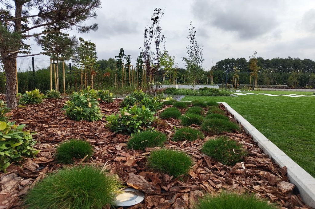 IMG_20230830_181322580