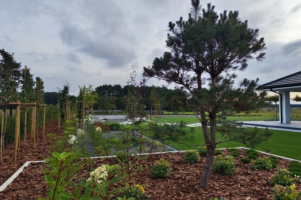 IMG_20230830_181329265