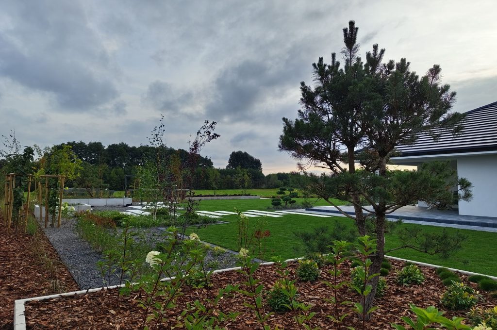 IMG_20230830_181336578