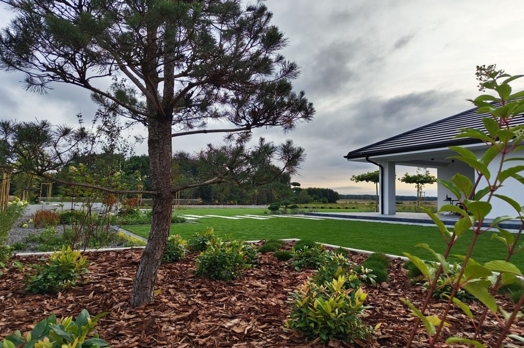 IMG_20230830_181342161