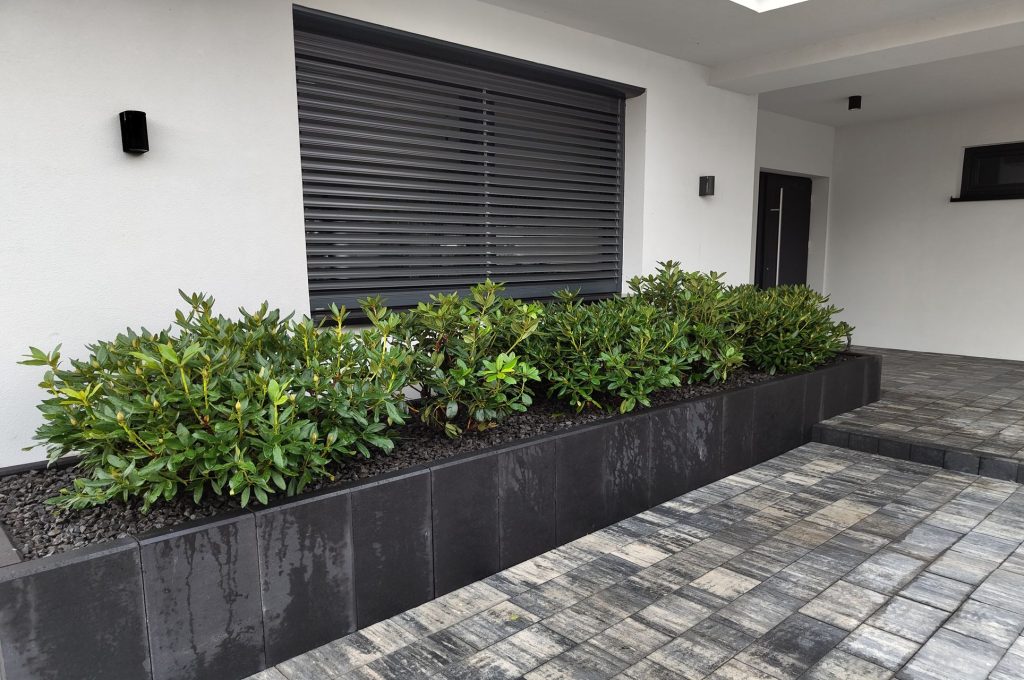 IMG_20230830_181413872