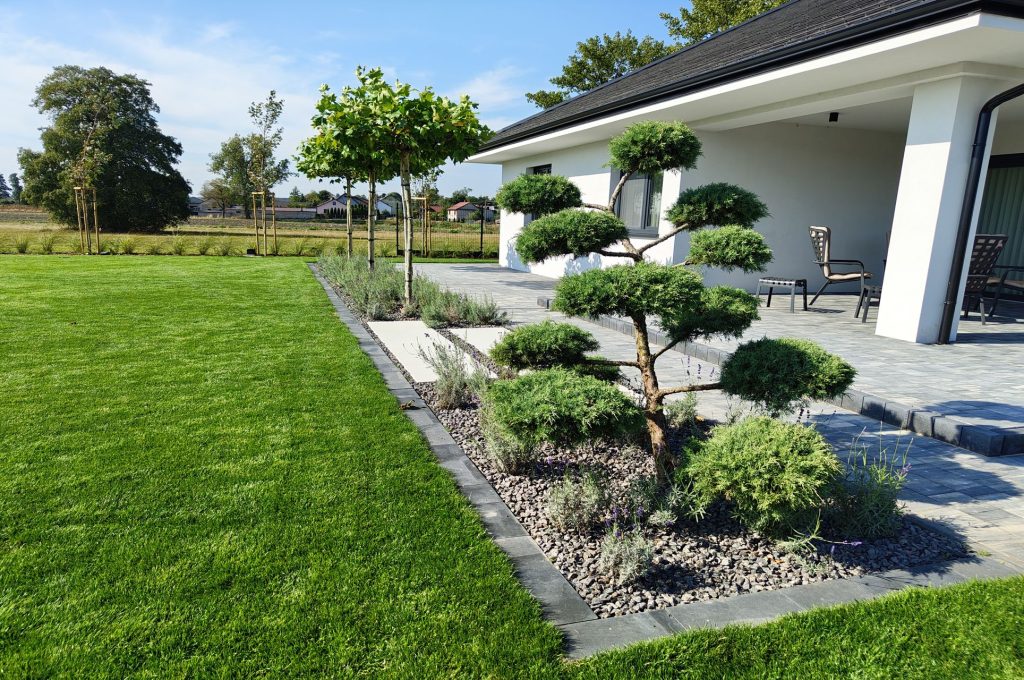 IMG_20230922_134233428