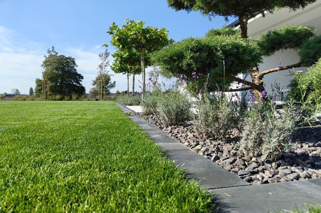 IMG_20230922_134240221