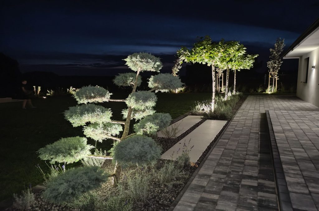 IMG_20230922_192941621