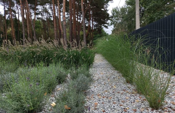 IMG_20230926_123809079