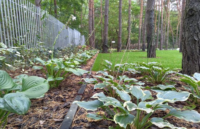 IMG_20230926_123925848