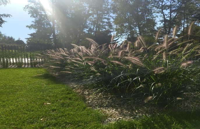 IMG_20230927_122015400