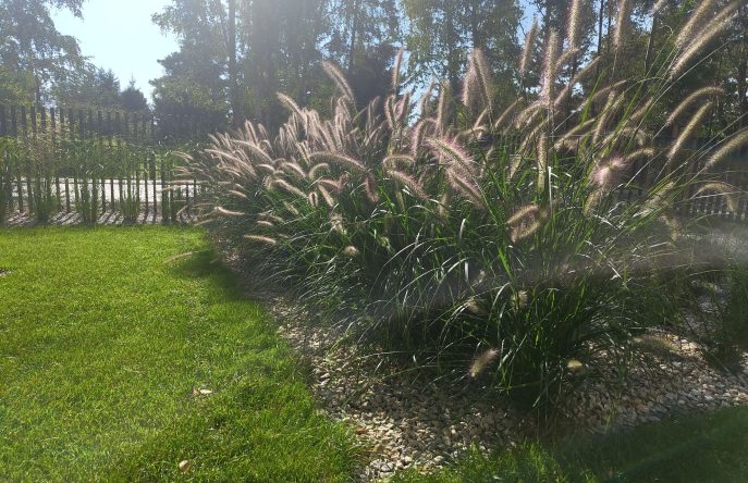 IMG_20230927_122024741