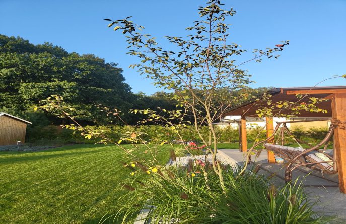 IMG_20230927_171132094_