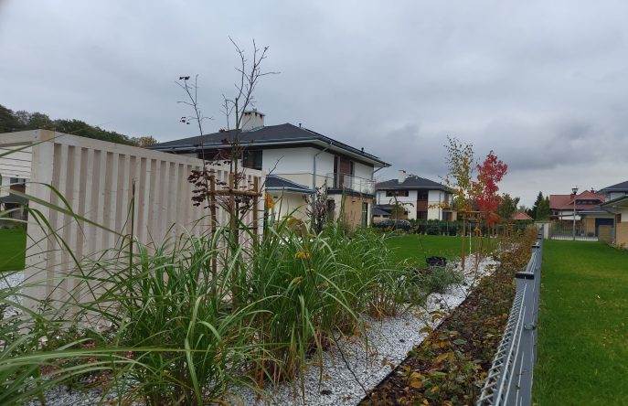 IMG_20231027_114133751_